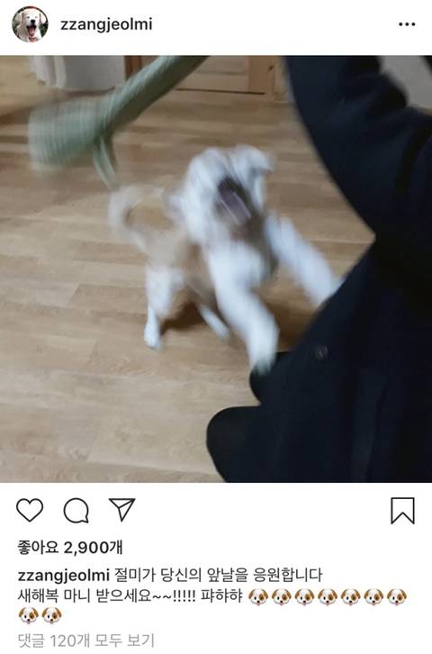 2019년 첫 절미 인스타그램.jpg | 인스티즈