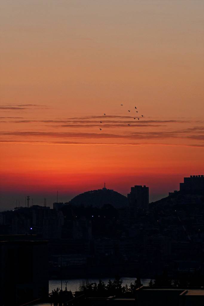 새날 아침 금빛 해돋이 | 인스티즈