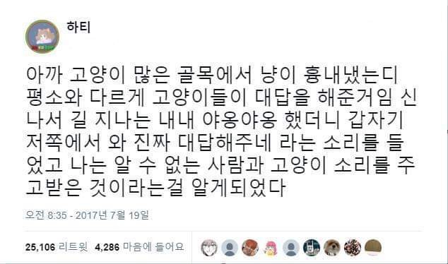 고양이와 대화시도하던 사람 | 인스티즈