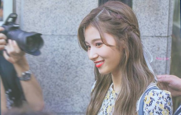 혹시 사나는 좋아하세요? | 인스티즈