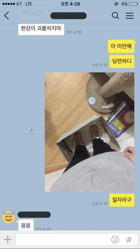 잘라는데 고양이가 내 이불 뺏어감 ; | 인스티즈