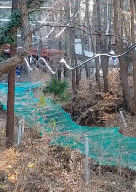 외국인들이 궁금해하는 우리나라 명소.gif | 인스티즈