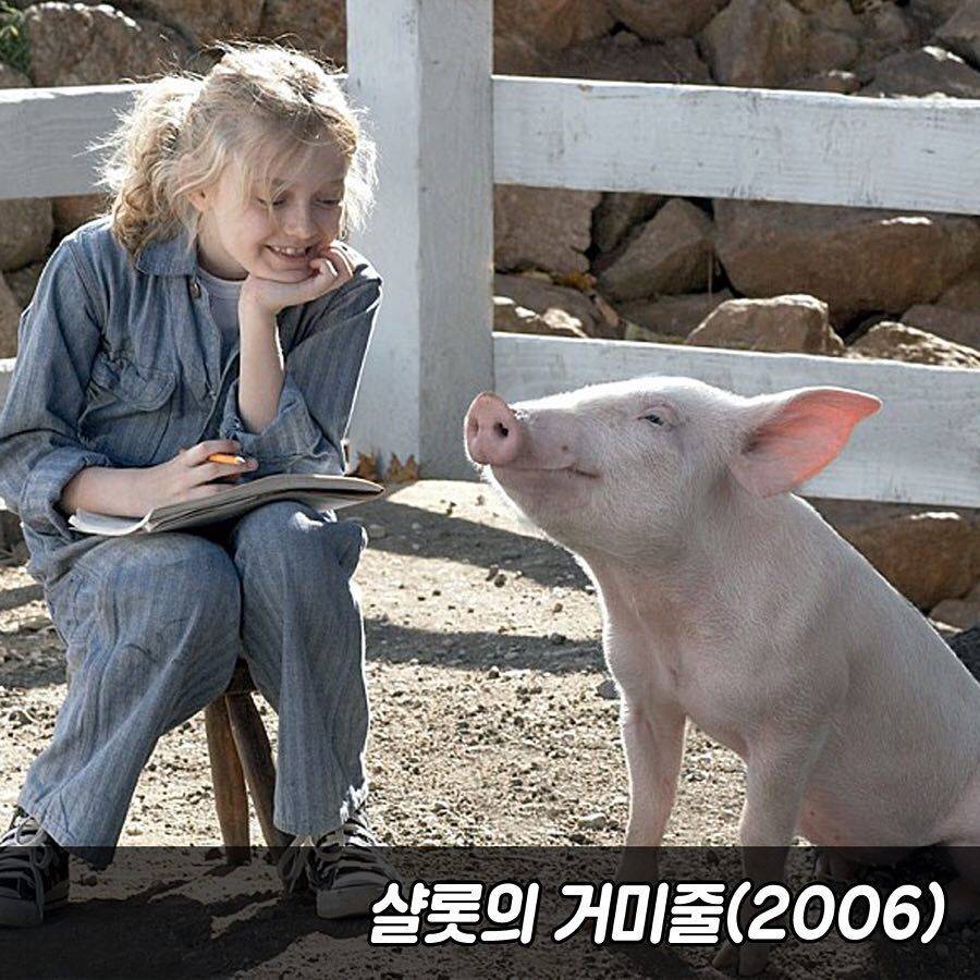 2019년 새해 볼만한 영화 추천 | 인스티즈