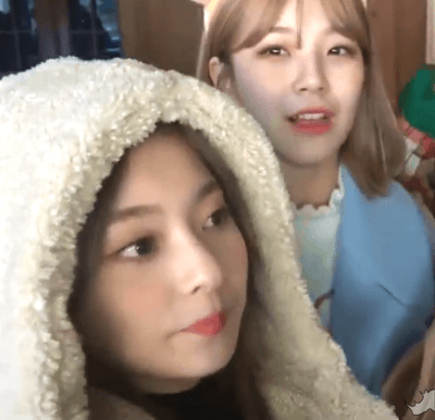 V앱 셀럽티비 연애소녀에 출연한 프로미스나인 | 인스티즈