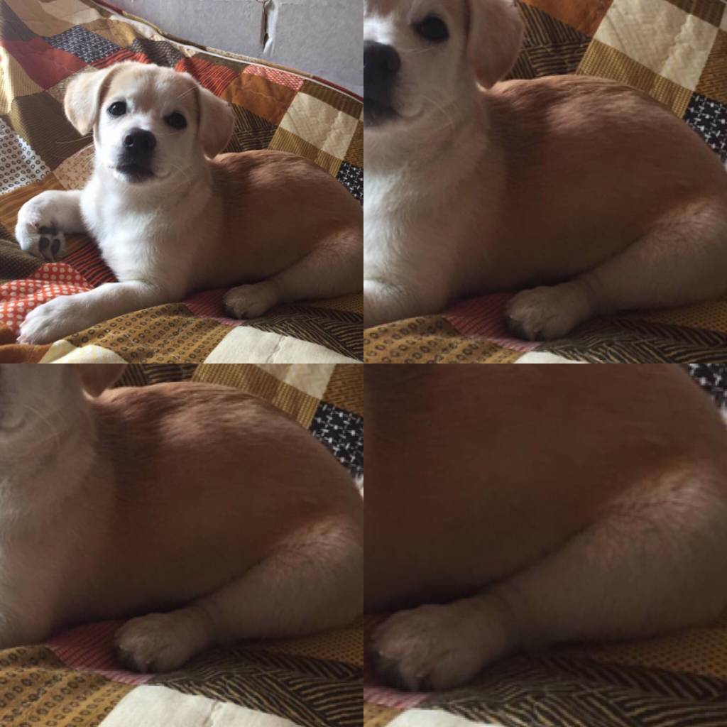 배방구 당하고 언니한테 욕하는 짱절미 | 인스티즈