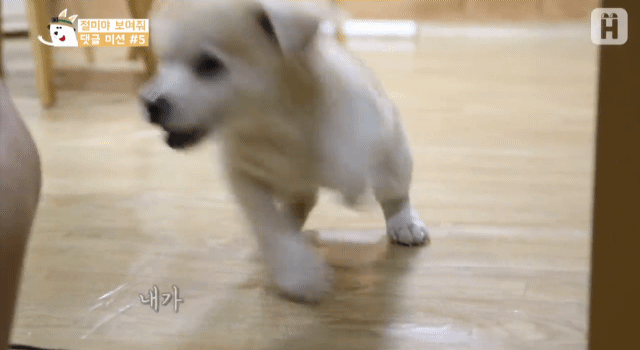 배방구 당하고 언니한테 욕하는 짱절미 | 인스티즈