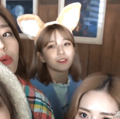 V앱 셀럽티비 연애소녀에 출연한 프로미스나인 | 인스티즈