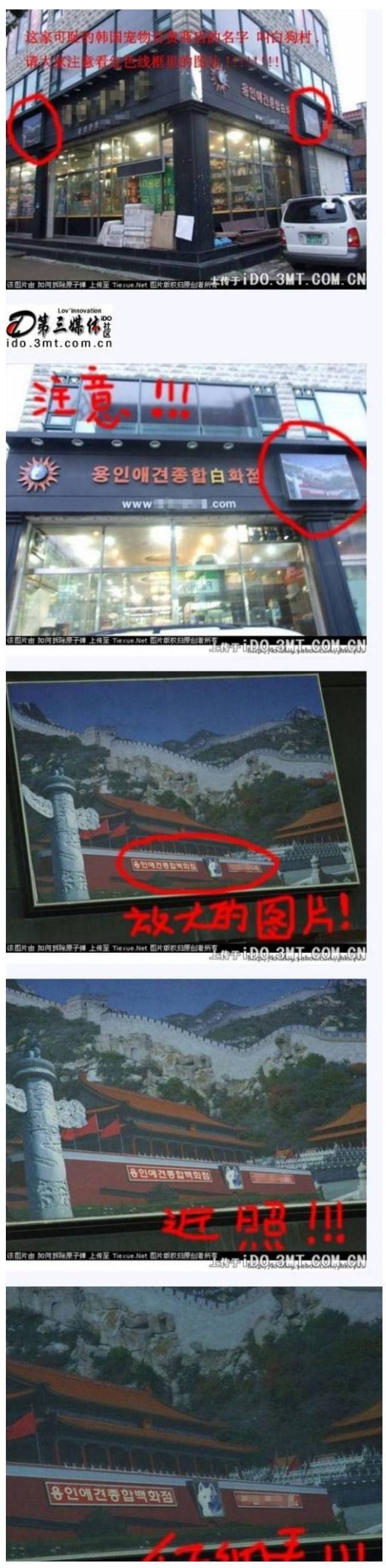 한국의 한 애견샵에 열받은 중국인들 | 인스티즈