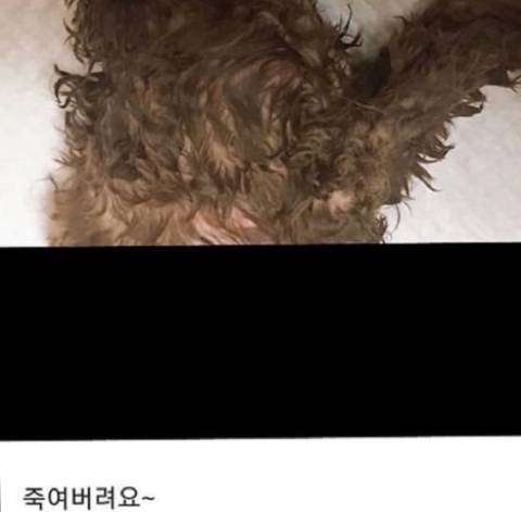 강사모에 올렸다 글삭한 학대범 (사진주의) 아는 사람 제보좀 해주세요 | 인스티즈