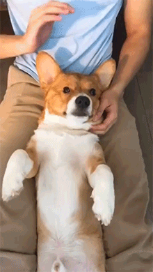 죽이고 지옥가겠습니다.gif | 인스티즈