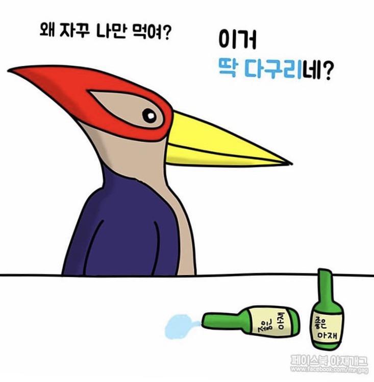 새들이 술 마실 때 하는 말. jpg | 인스티즈