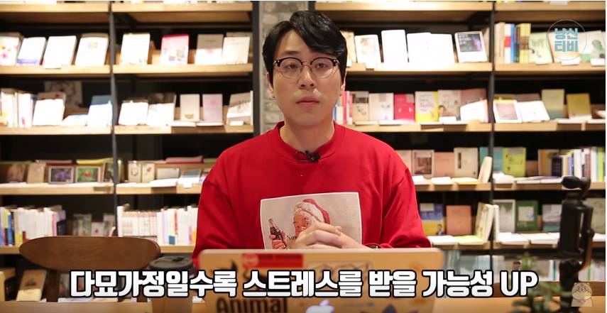 고양이 다묘가정이 행복할까? 혼자가 행복할까? (feat. 냐옹신) | 인스티즈