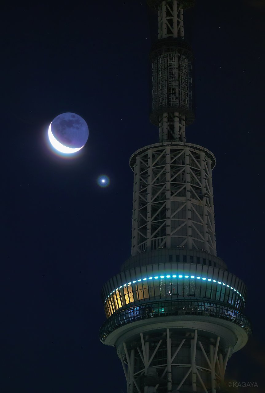 일반인과 전문가의 차이 | 인스티즈