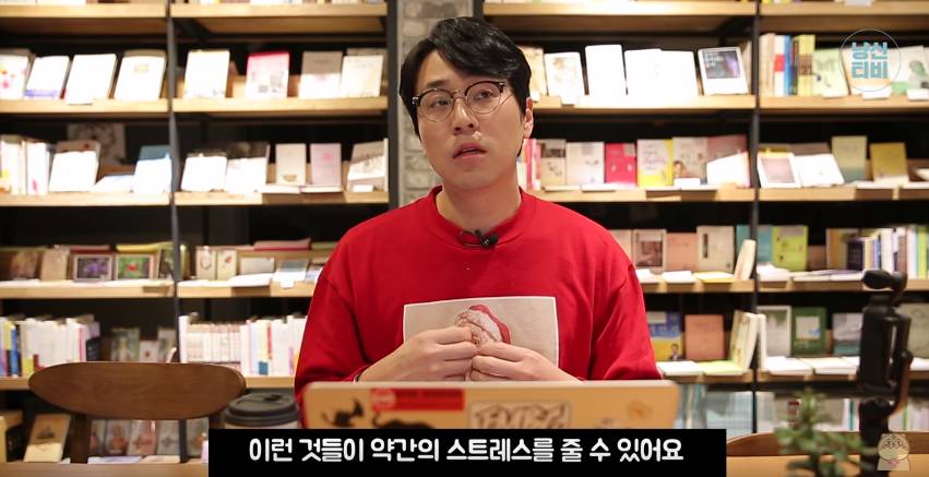 고양이 다묘가정이 행복할까? 혼자가 행복할까? (feat. 냐옹신) | 인스티즈