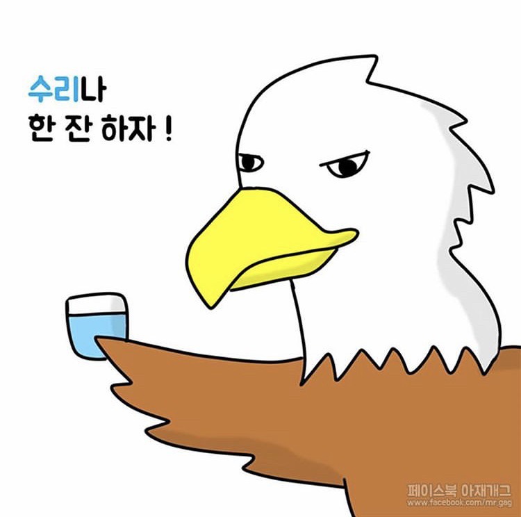 새들이 술 마실 때 하는 말. jpg | 인스티즈