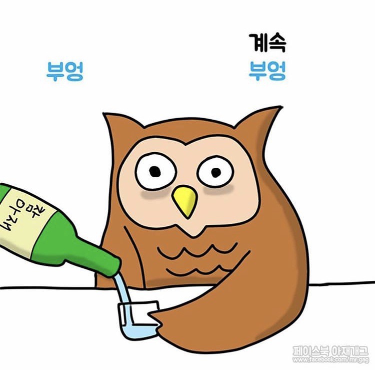 새들이 술 마실 때 하는 말. jpg | 인스티즈