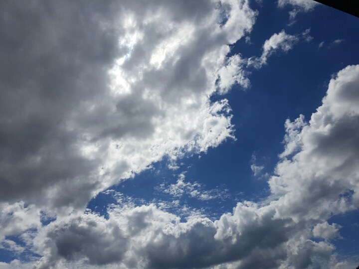 디자인만보고 샀다가 많이 후회한다는 세단 | 인스티즈