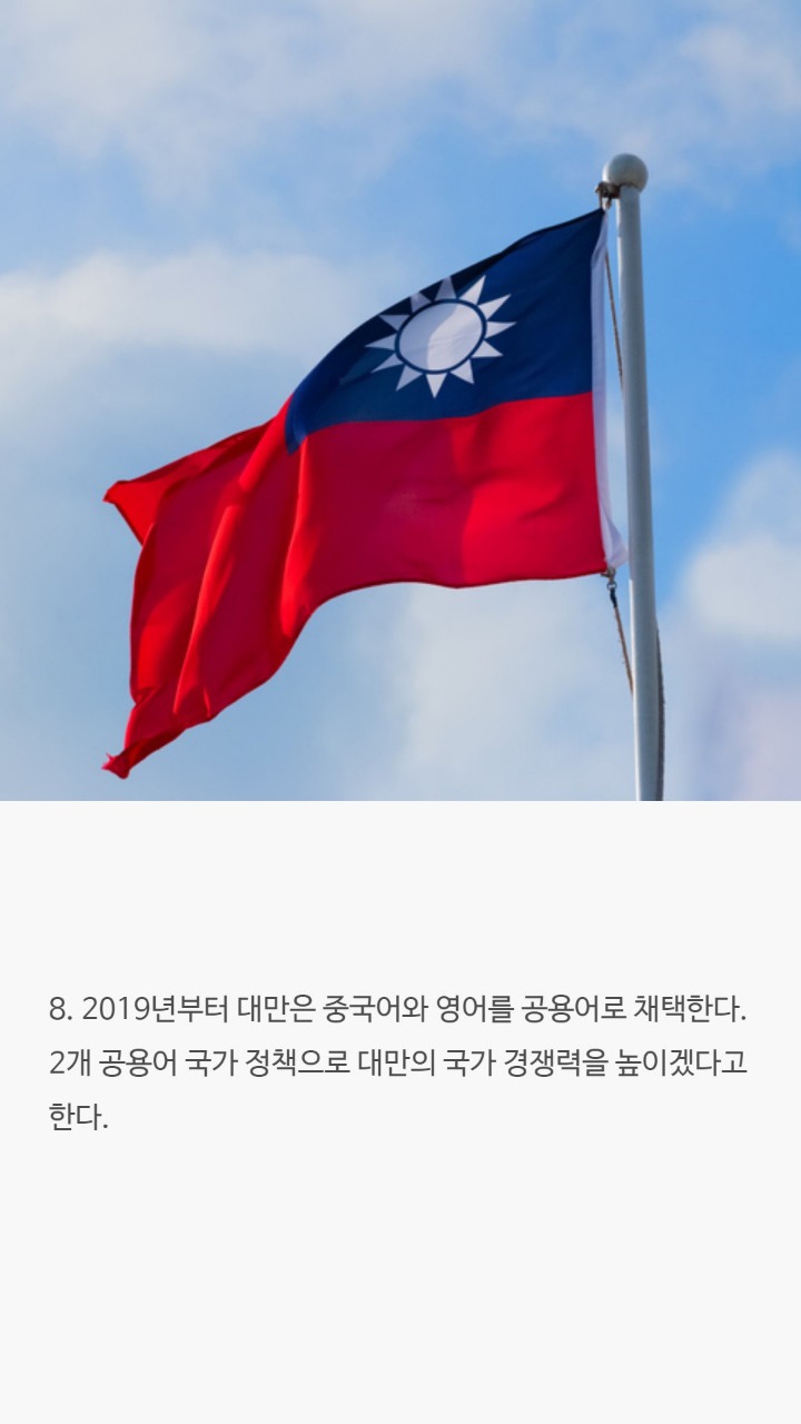 2019년에 관한 흥미로운 사실 10가지 | 인스티즈