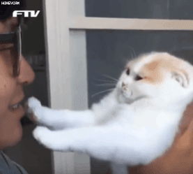 골목식당은 피디가 문제인듯 (feat.엠팍) | 인스티즈