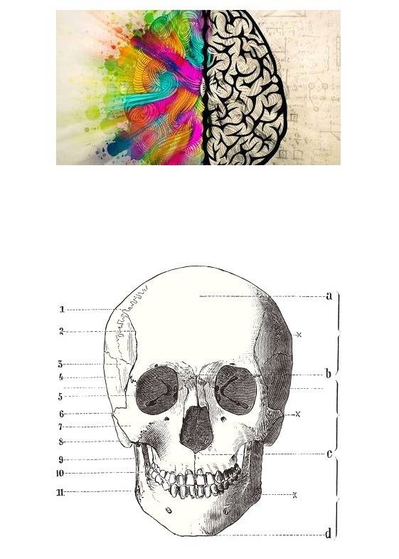 2019년 첫 골반 디짐 ㄷㄷ | 인스티즈