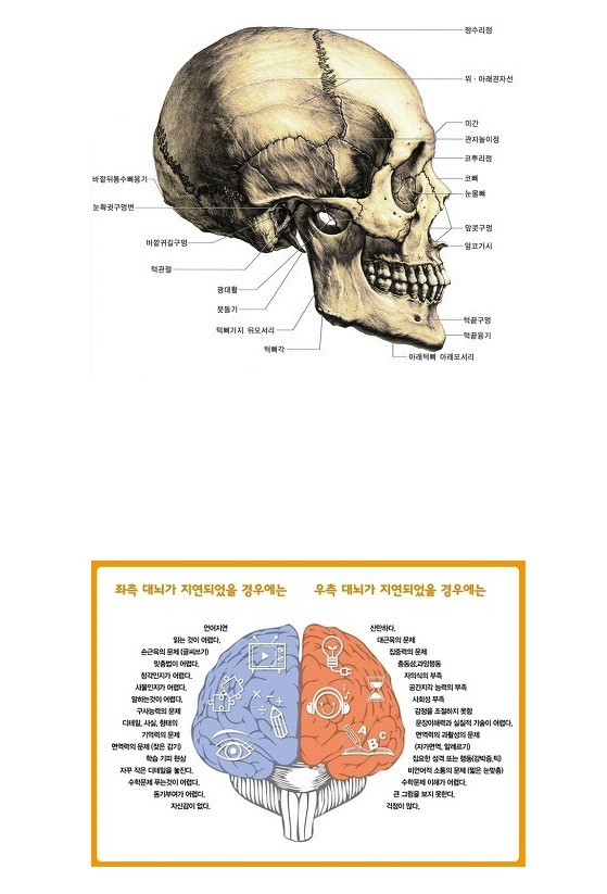 2019년 첫 골반 디짐 ㄷㄷ | 인스티즈