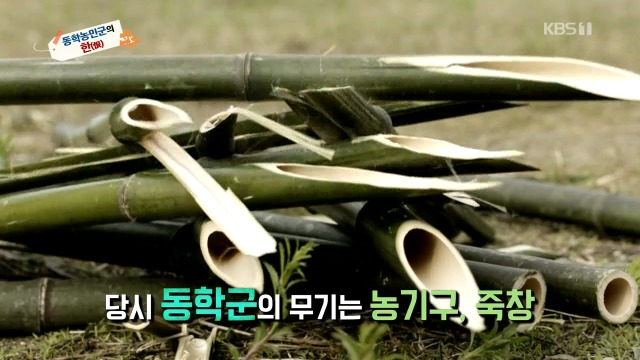 [역사저널그날] 일본 대학교에 방치되어 있던 조선인의 유골 | 인스티즈