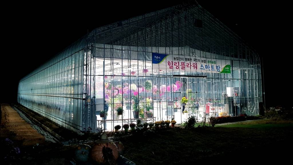 우리나라에서 광주에만 있는 특이한 공간 | 인스티즈