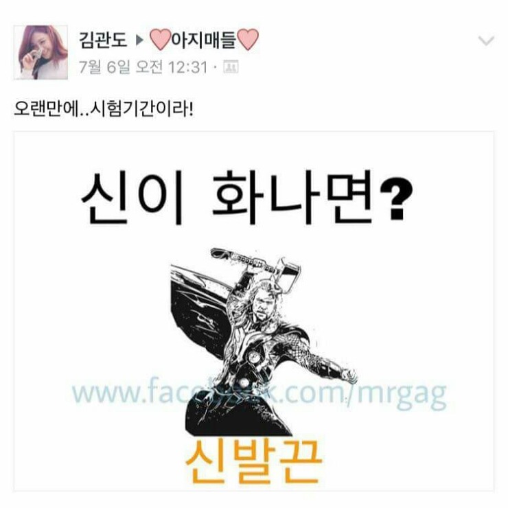 새들이 술 마실 때 하는 말. jpg | 인스티즈