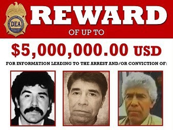 남미 마약상들이 미국 요원들을 건들지 않는 이유.jpg | 인스티즈