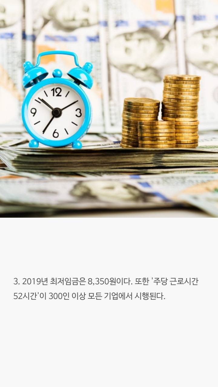 2019년에 관한 흥미로운 사실 10가지 | 인스티즈