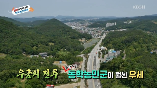 [역사저널그날] 일본 대학교에 방치되어 있던 조선인의 유골 | 인스티즈