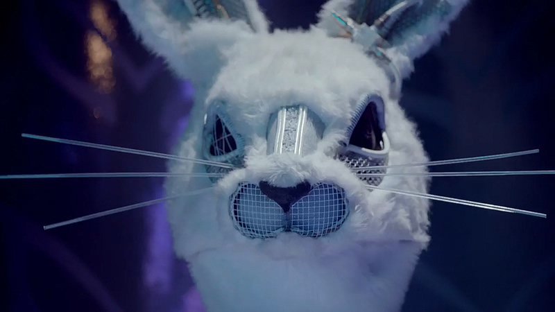 복면가왕으로 보는 한국 토끼 미국 토끼 | 인스티즈