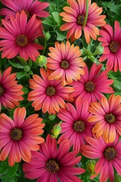 엑셀 초보는 무조건 봐야하는 엑셀꿀팁 총정리.jpg | 인스티즈