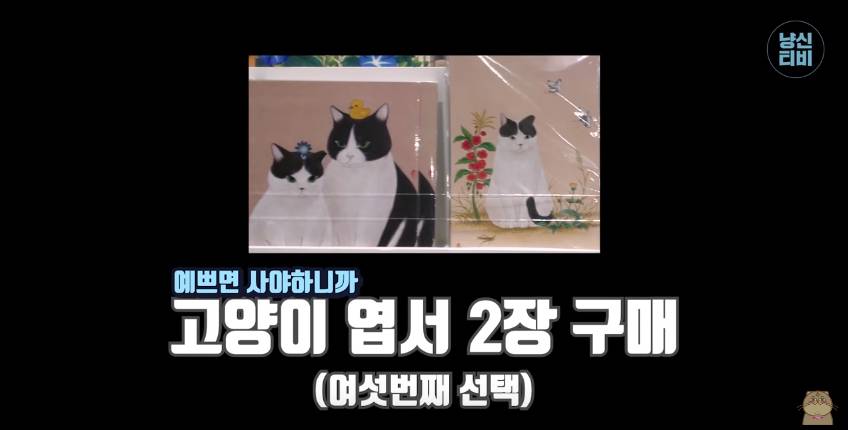 고양이 키우는 수의사들은 궁디팡팡에 가면 무엇을 구매할까? | 인스티즈