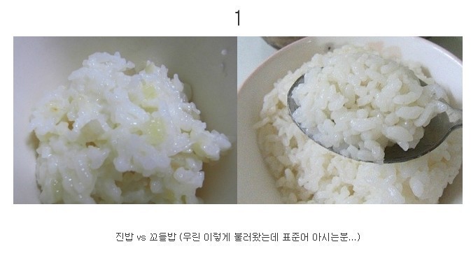 한국인의 호불호 | 인스티즈