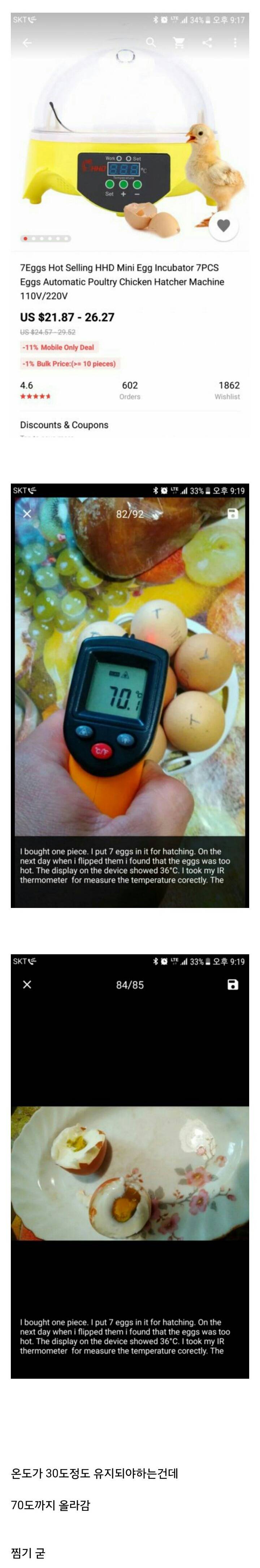 병아리로 부화시키기 | 인스티즈