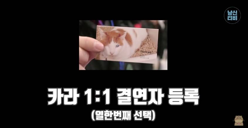 고양이 키우는 수의사들은 궁디팡팡에 가면 무엇을 구매할까? | 인스티즈