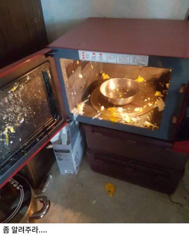 전자레인지로 계란후라이 | 인스티즈