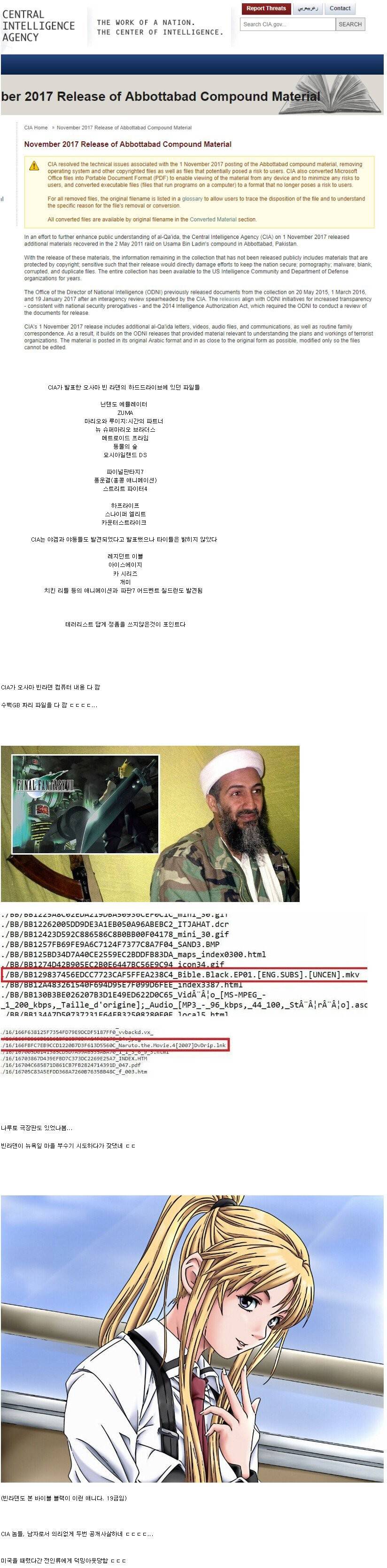 미국에 개기면 안되는 이유 | 인스티즈