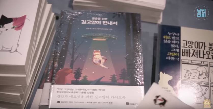 고양이 키우는 수의사들은 궁디팡팡에 가면 무엇을 구매할까? | 인스티즈