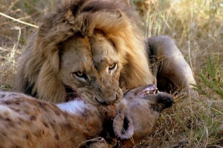 동물프로그램에서 이상하게 이장면 난감이였음 (혐오주의) | 인스티즈