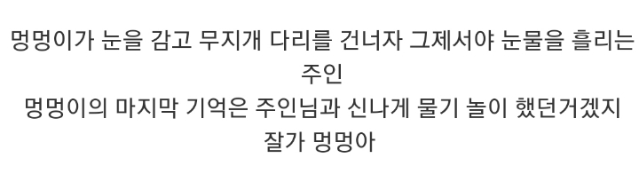 눈물 주의) 안락사 직전 주인과 함께하는 댕댕이.gif | 인스티즈