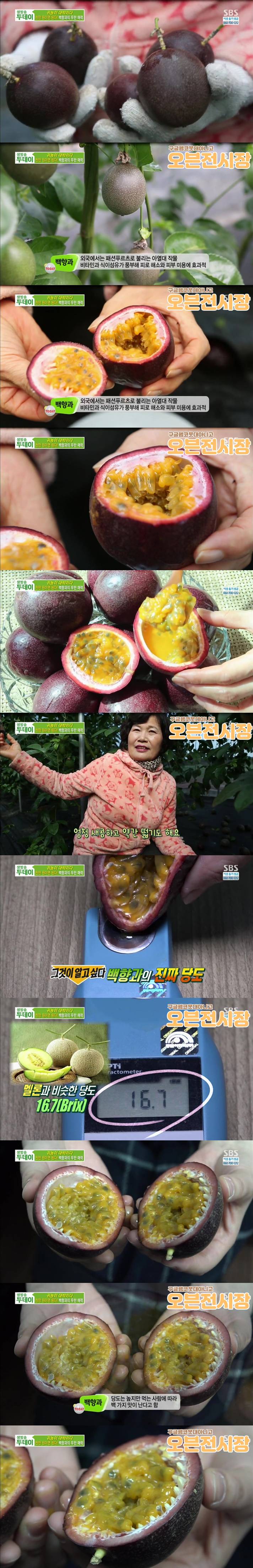 신맛밖에 안 나는데 의외로 좋아하는 사람들이 많은 과일.jpg | 인스티즈