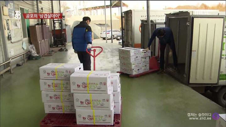 헬조선의 삼겹살 값이 맨날 뛰고 내리는 이유.. (feat. 롯데마트) | 인스티즈