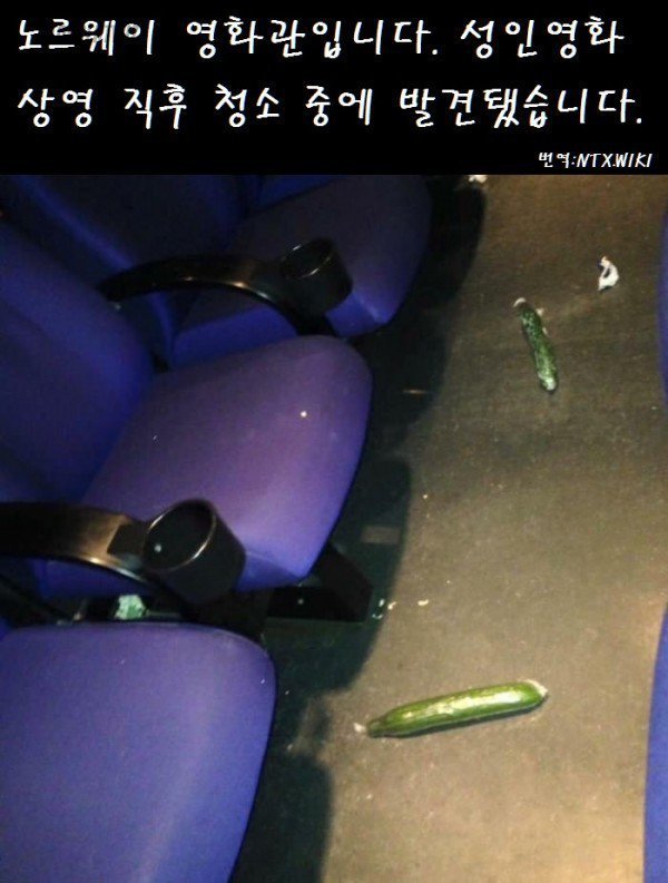 노르웨이 영화관 | 인스티즈