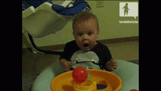 살면서 이런거 처음봄 | 인스티즈