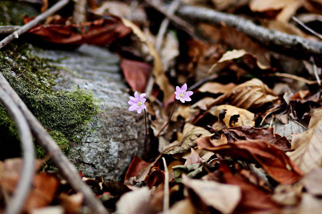 직찍 폴더로 돌아 본 2018년 | 인스티즈