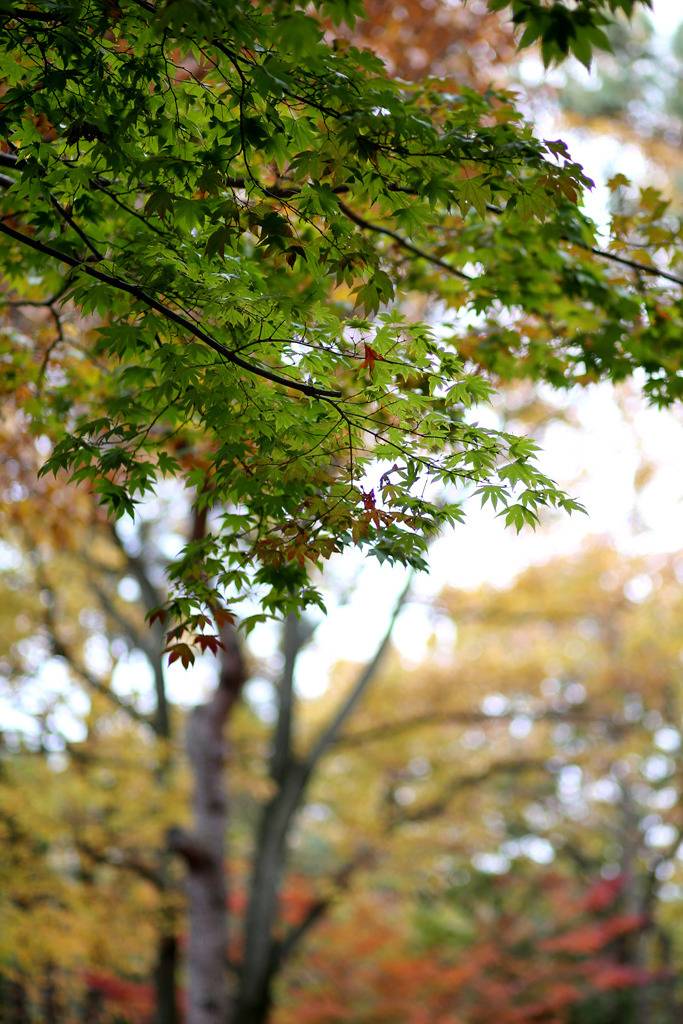 직찍 폴더로 돌아 본 2018년 | 인스티즈