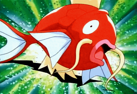 새해 첫 포켓몬스터 | 인스티즈