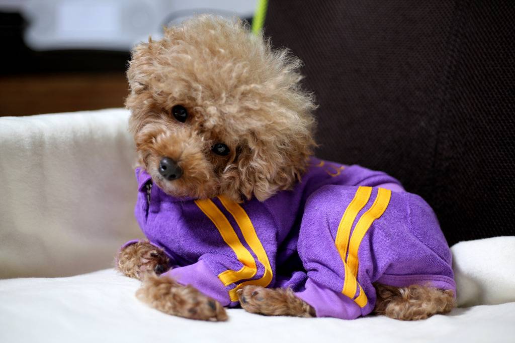 직찍 폴더로 돌아 본 2018년 | 인스티즈